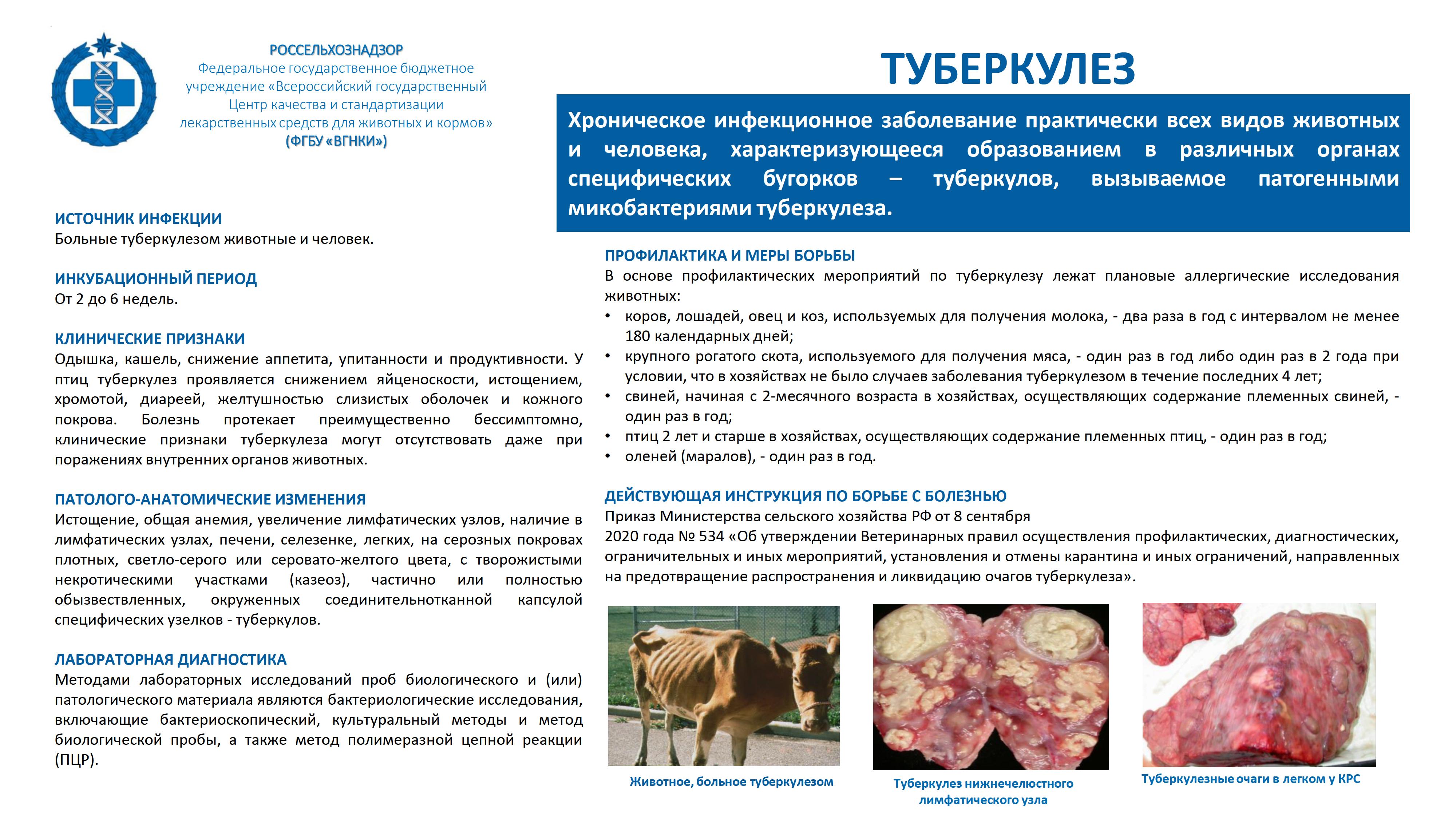 Официальный сайт администрации города Усолье-Сибирское - Информирование о  туберкулезе животных