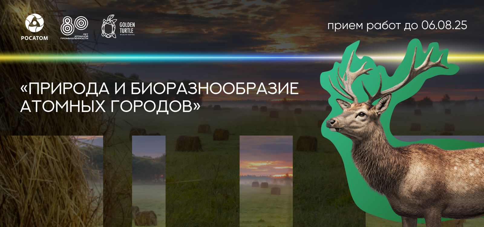 Шапка для рассылки