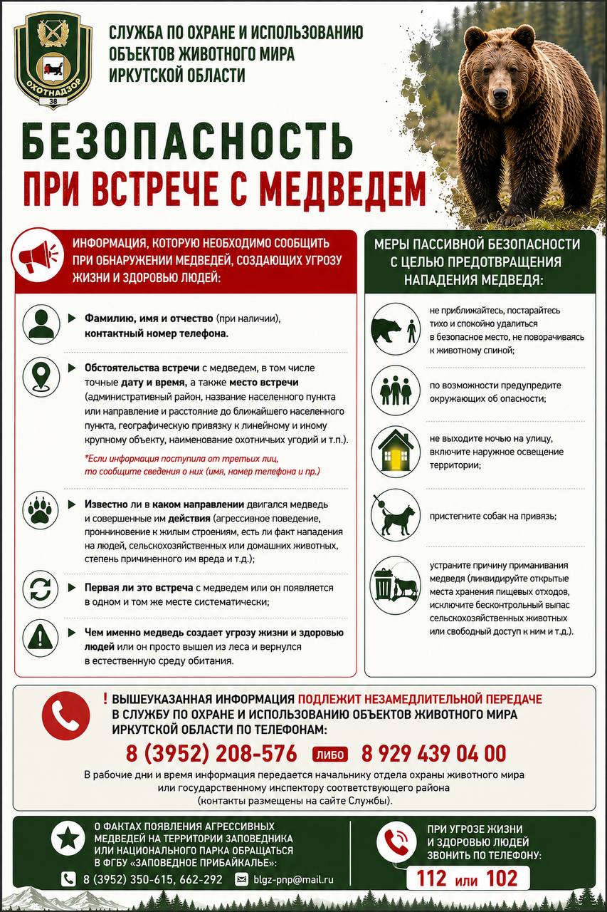 памятка по медведям