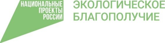 эколог